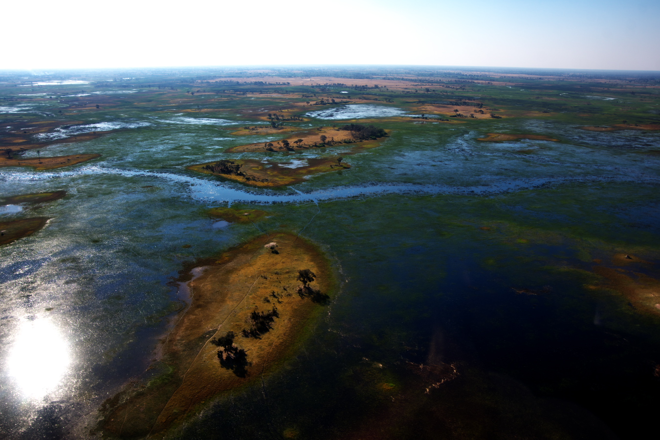 ボツワナ 世界遺産 オカバンゴ デルタ を空から眺める 18年9月1日